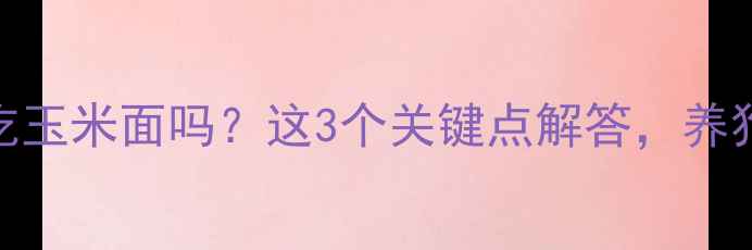 图片 🔥泰迪能吃玉米面吗？这3个关键点解答，养狗必看！🐾