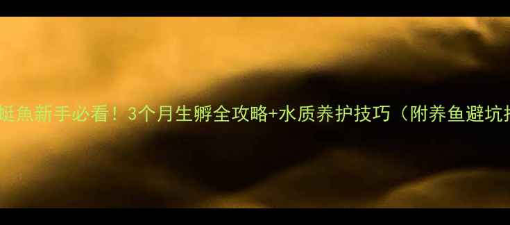 图片 🔥潜水蜓魚新手必看！3个月生孵全攻略+水质养护技巧（附养鱼避坑指南）2