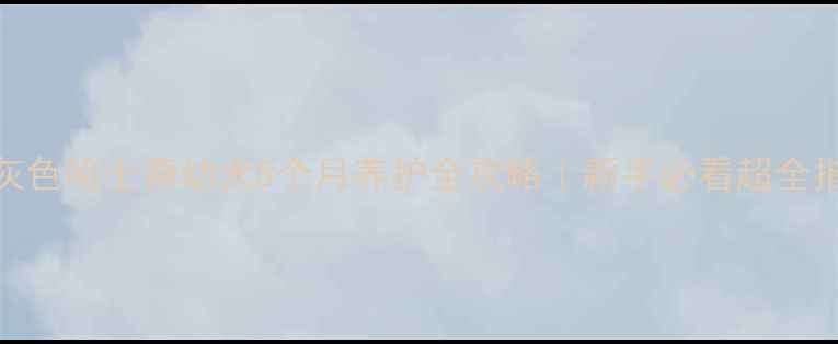 图片 🔥烟灰色哈士奇幼犬5个月养护全攻略｜新手必看超全指南🔥