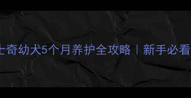 图片 🔥烟灰色哈士奇幼犬5个月养护全攻略｜新手必看超全指南🔥2