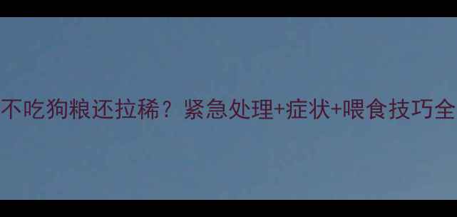 图片 🔥狗狗不吃狗粮还拉稀？紧急处理+症状+喂食技巧全攻略🔥