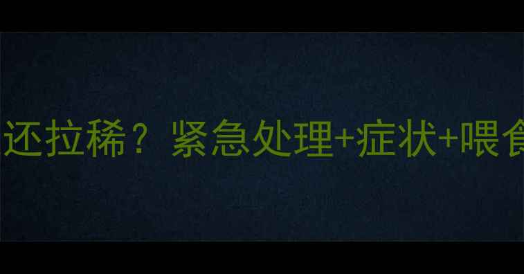 图片 🔥狗狗不吃狗粮还拉稀？紧急处理+症状+喂食技巧全攻略🔥1