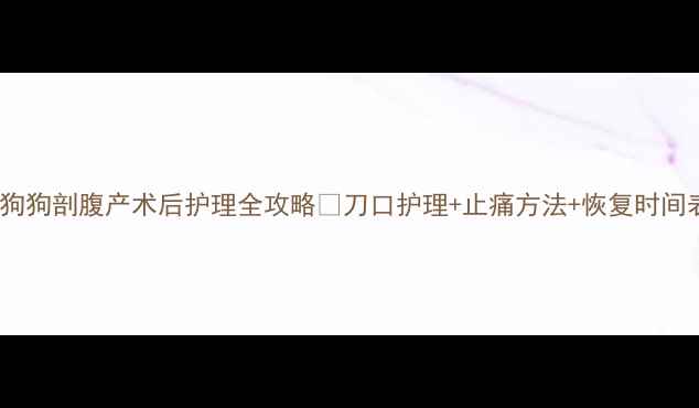 图片 🔥狗狗剖腹产术后护理全攻略🐾刀口护理+止痛方法+恢复时间表2