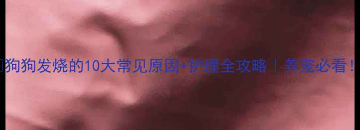 图片 🔥狗狗发烧的10大常见原因+护理全攻略｜养宠必看！2