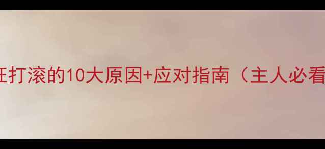 图片 🔥狗狗在地上疯狂打滚的10大原因+应对指南（主人必看！附专业解答）1