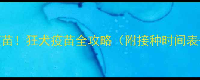图片 🔥狗狗必打疫苗！狂犬疫苗全攻略（附接种时间表+避坑指南）1