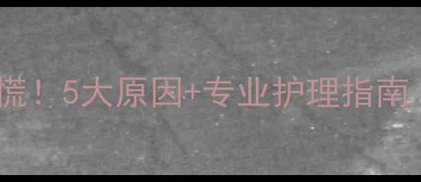 图片 🔥狗狗流黄鼻涕别慌！5大原因+专业护理指南（附就医信号）🔥2