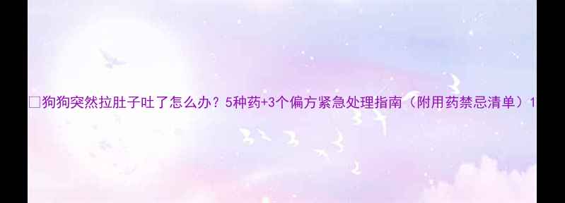 图片 🔥狗狗突然拉肚子吐了怎么办？5种药+3个偏方紧急处理指南（附用药禁忌清单）1