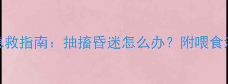 图片 🔥猫咪低血糖急救指南：抽搐昏迷怎么办？附喂食清单和预防措施