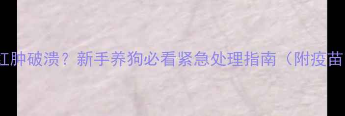 图片 🔥疫苗后脖子包红肿破溃？新手养狗必看紧急处理指南（附疫苗品牌避坑清单）2