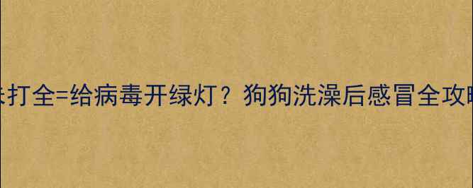 图片 🔥疫苗未打全=给病毒开绿灯？狗狗洗澡后感冒全攻略来了！