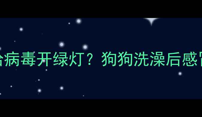 图片 🔥疫苗未打全=给病毒开绿灯？狗狗洗澡后感冒全攻略来了！2