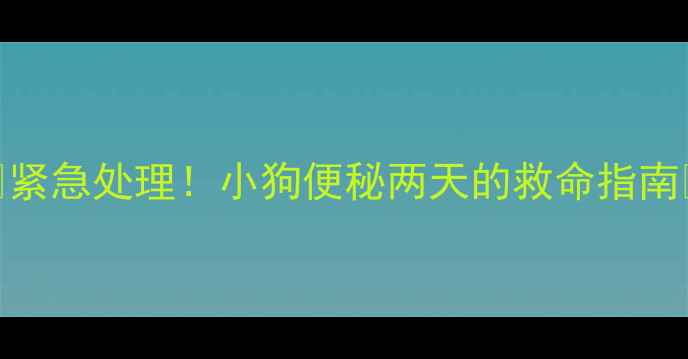图片 🔥紧急处理！小狗便秘两天的救命指南🐾