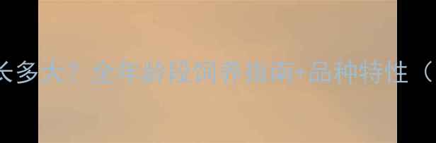 图片 🔥红色哈士奇能长多大？全年龄段饲养指南+品种特性（附成长对比图）1