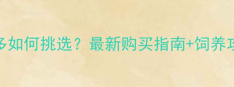 图片 🔥纯种血统拉布拉多如何挑选？最新购买指南+饲养攻略，附品种对比图