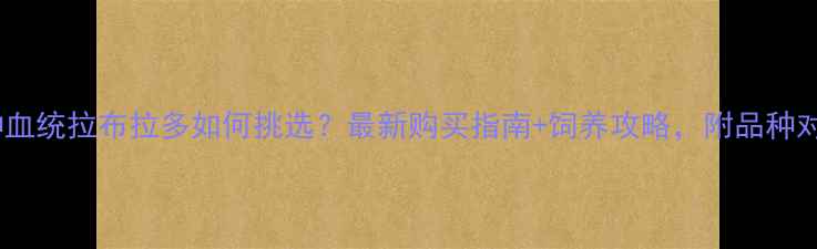 图片 🔥纯种血统拉布拉多如何挑选？最新购买指南+饲养攻略，附品种对比图1