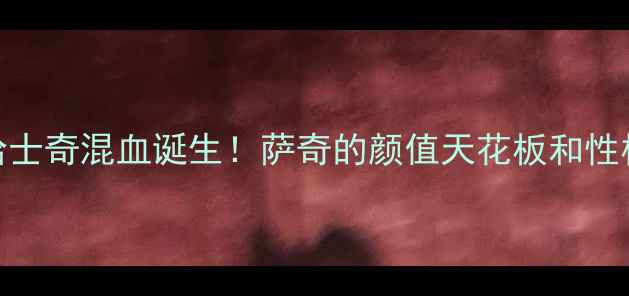 图片 🔥萨摩耶×哈士奇混血诞生！萨奇的颜值天花板和性格养成秘籍🔥