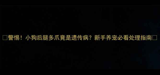 图片 🔥警惕！小狗后腿多爪竟是遗传病？新手养宠必看处理指南🐾