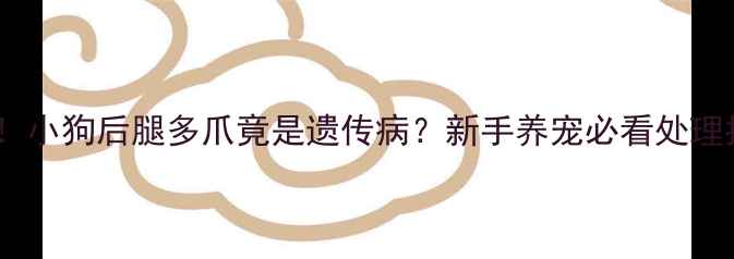 图片 🔥警惕！小狗后腿多爪竟是遗传病？新手养宠必看处理指南🐾2