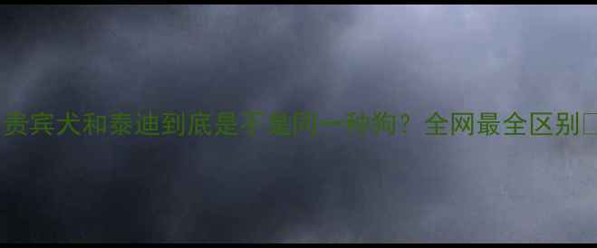 图片 🔥贵宾犬和泰迪到底是不是同一种狗？全网最全区别🐾2