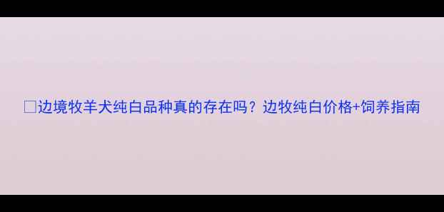 图片 🔥边境牧羊犬纯白品种真的存在吗？边牧纯白价格+饲养指南