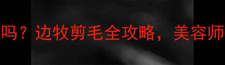 图片 🔥边境牧羊犬能剪毛吗？边牧剪毛全攻略，美容师亲授正确护理方法！