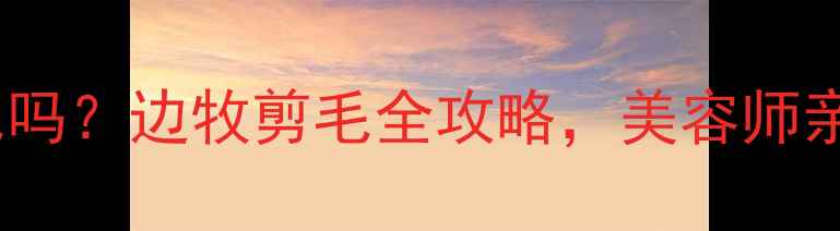 图片 🔥边境牧羊犬能剪毛吗？边牧剪毛全攻略，美容师亲授正确护理方法！2