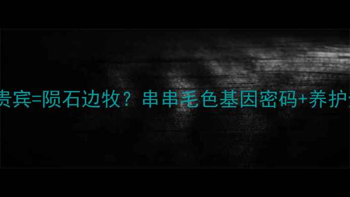 图片 🔥边牧×贵宾=陨石边牧？串串毛色基因密码+养护全攻略！1