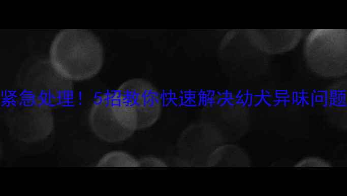 图片 🔥边牧幼犬臭味重？紧急处理！5招教你快速解决幼犬异味问题（附专业护理指南）