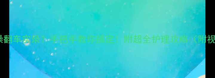 图片 🔥边牧洗澡翻车实录？手把手教你搞定！附超全护理攻略（附视频教程）2