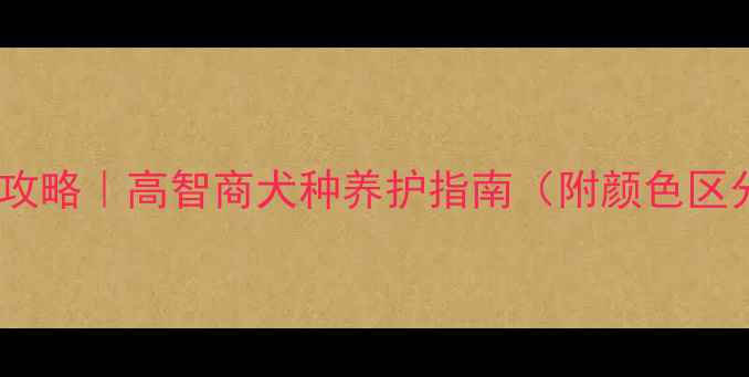 图片 🔥边牧训练全攻略｜高智商犬种养护指南（附颜色区分+健康贴士）