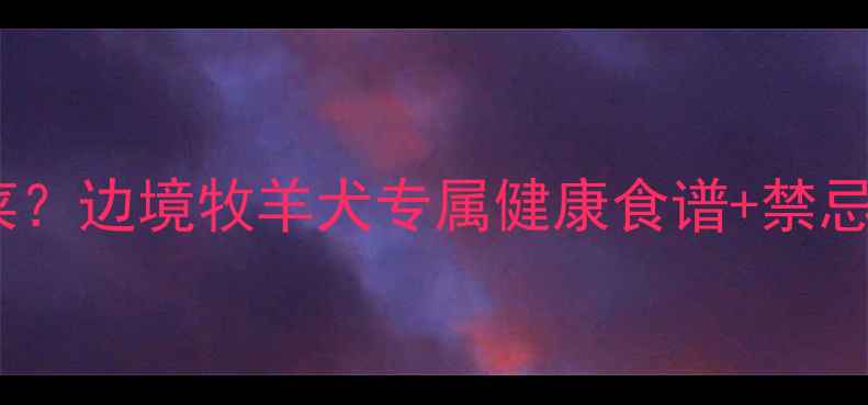 图片 🔥边牧适合吃什么菜？边境牧羊犬专属健康食谱+禁忌清单（附食谱图）2