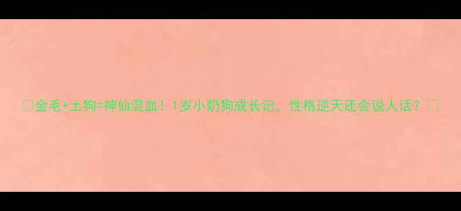 图片 🔥金毛+土狗=神仙混血！1岁小奶狗成长记，性格逆天还会说人话？🔥