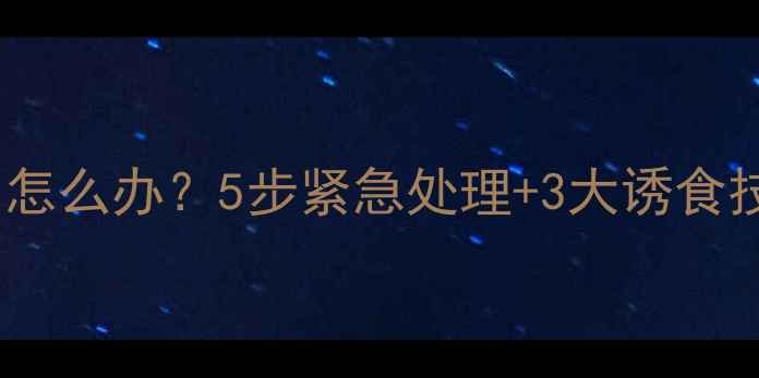 图片 🔥金毛不吃狗粮吐了怎么办？5步紧急处理+3大诱食技巧（附真实案例）2
