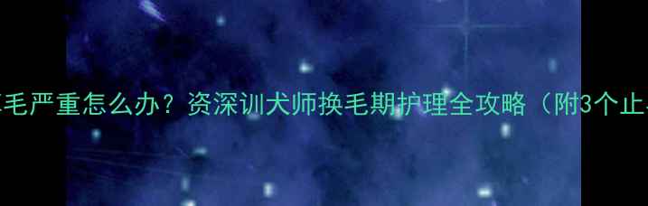图片 🔥金毛掉毛严重怎么办？资深训犬师换毛期护理全攻略（附3个止毛妙招）
