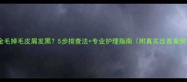 图片 🔥金毛掉毛皮屑发黑？5步排查法+专业护理指南（附真实改善案例）2