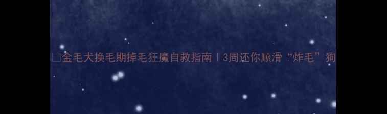 图片 🔥金毛犬换毛期掉毛狂魔自救指南｜3周还你顺滑“炸毛”狗