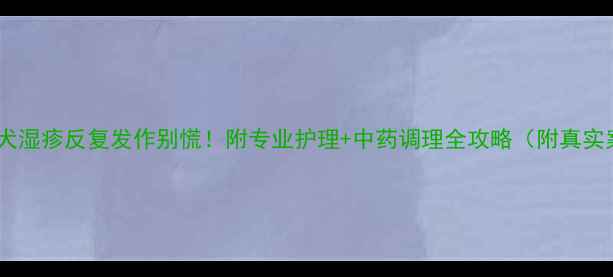 图片 🔥金毛犬湿疹反复发作别慌！附专业护理+中药调理全攻略（附真实案例）1