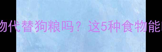 图片 🔥金毛犬能吃人类食物代替狗粮吗？这5种食物能吃，3种千万别喂！🐾