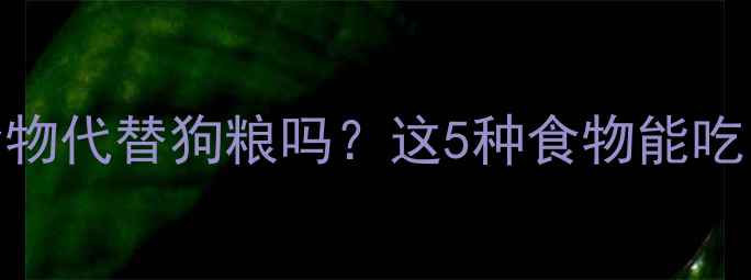 图片 🔥金毛犬能吃人类食物代替狗粮吗？这5种食物能吃，3种千万别喂！🐾1