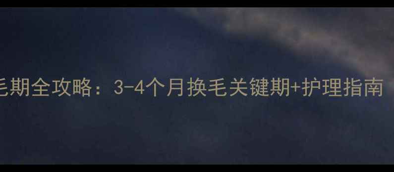 图片 🔥金毛犬脱胎毛期全攻略：3-4个月换毛关键期+护理指南（附对比图）🐾