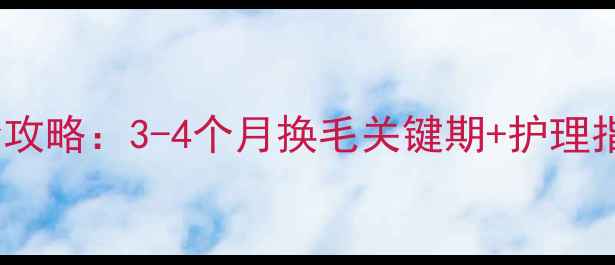 图片 🔥金毛犬脱胎毛期全攻略：3-4个月换毛关键期+护理指南（附对比图）🐾1