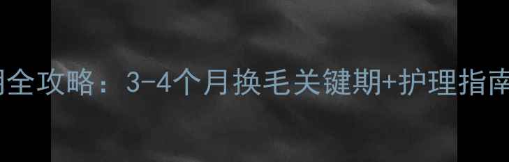 图片 🔥金毛犬脱胎毛期全攻略：3-4个月换毛关键期+护理指南（附对比图）🐾2