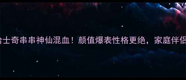 图片 🔥阿拉斯加哈士奇串串神仙混血！颜值爆表性格更绝，家庭伴侣首选犬种🔥1