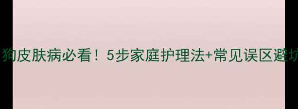 图片 🔥预防小狗皮肤病必看！5步家庭护理法+常见误区避坑指南🐾1