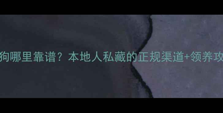 图片 🔥龙岩买宠物狗哪里靠谱？本地人私藏的正规渠道+领养攻略全公开！🔥