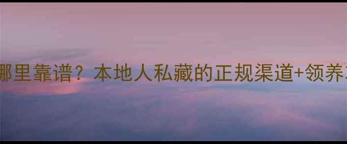 图片 🔥龙岩买宠物狗哪里靠谱？本地人私藏的正规渠道+领养攻略全公开！🔥1