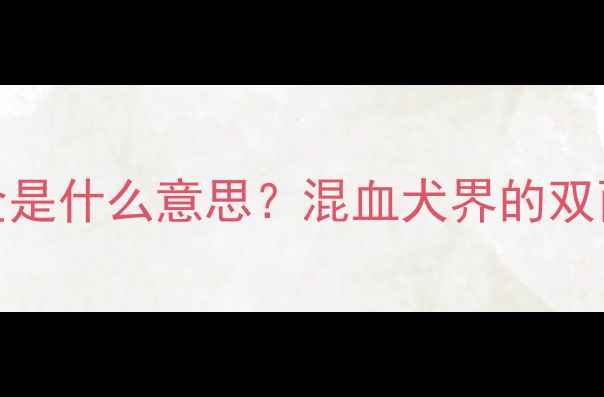 图片 🔥！狗狗铁包金是什么意思？混血犬界的双面娇娃养成指南