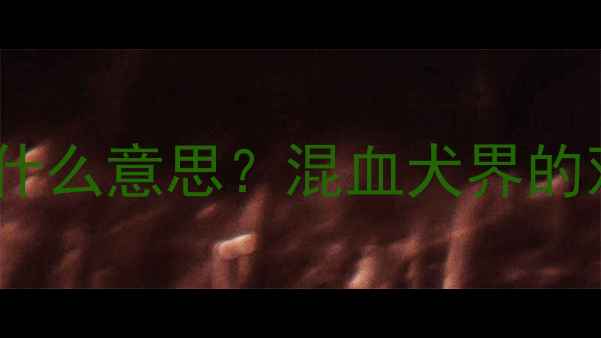 图片 🔥！狗狗铁包金是什么意思？混血犬界的双面娇娃养成指南1